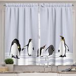 Ambesonne Animal Kitchen Curtains, Penguins on Polar ICY Land Winter Climate Arctic Cold Season Creatures Print, Window Drapes 2 Panels Set for Kitchen Cafe, 55 W X 39 L Inches, Lilac Grey White