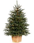 WeRChristmas Pre-Lit Potted Alaskan Fir Christmas Tree, 150 Warm White LED Lights, Green, 4 ft / 120 cm