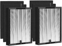 True HEPA 45i Replacement Filter, C