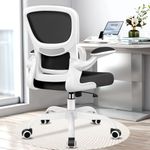 Razzor Office Chair Ergonomic Desk Chair with Lumbar Support, Breathable Mesh Computer Chair with Flip-up Armrests, Rolling Swivel Task Chair for Home Office (White)