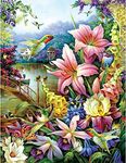 Diamond Painting Kits for Adults Hummingbird Diamond Art DIY 5D Full Round Drill Crystal Rhinestone Arts and Crafts Flower Gem Art Paint with Diamond Dots Home Wall Decor 11.8x15.7inch