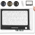 Large Magnifier For Reading