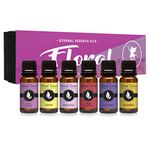 Premium Grade Fragrance Oil - Floral Gift Set - 6 Pack of Essence - Lavender, Lilac Lillies, Jasmine, Plumeria, Rose Garden, Magnolia - 10 Ml - Scented Oil