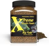 Xtreme Big