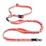 JC HOUSE Hands Free Dog Leash with 