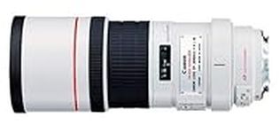 Canon EF 300mm f/4L IS USM Telephot
