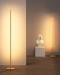 EDISHINE Modern LED Floor Lamp 2 Pack, 57.5" Minimalist Dimmable Standing Lamp,Tall Floor Lamps for Living Room, Bedroom, Office, 3000K Warm White Light, Golden