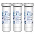 Overbest XWF Replacement for GE XWF Refrigerator Water Filter, Pack of 3