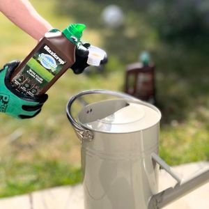 Maxicrop Moss Killer & Lawn Tonic 1L – Fast-Acting Seaweed Lawn Care