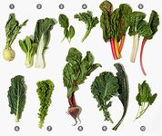 Seedscare India - 10 types of herb seeds combo, Winter season - knol khol, pak choy 2 types, tatsoi, endive, swiss chard 3 types, kale 2 types, beet root, kashmiri collard, spinach - 10 packets/ 40+ seeds each