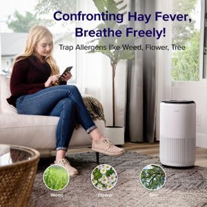 LEVOIT Air Purifier for Large Rooms – HEPA Filter, Quiet Operation