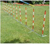 Handlers Choice Set of 12 Agility W