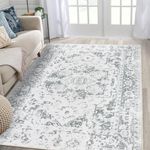 Famibay Area Rugs for Living Room 160x230cm Soft Fluffy Rugs Large Non Slip Grey Bedroom Rug Washable Floor Carpet for Living Room Bedroom Kitchen