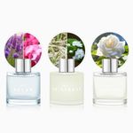 Set of 3 Fragrance Reed Diffusers,50ml Lavender Jasmine Gardenia Aromatherapy Diffuser Set with 12 Black Fiber Sticks,Air Freshener for Bedroom Bathroom Office