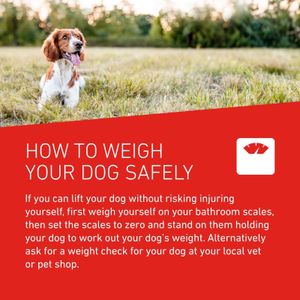 Frontline XL Dog Wormer Tablets – 2-Count Deworming Treatment