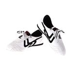 Taekwondo Shoes, Adults Breathable Non-Slip Taekwondo Sport Shoes (Size : 40) Taekwondo Supplies Taekwondo Shoes