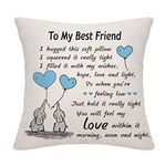 Friendship Gift Elephant Throw Pillow Cover for Friends Best Friend Birthday Gift Hug Gift Thanksgiving Gift (Best Friend-him)