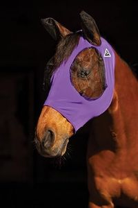 Professional's Choice Comfort Fit Fly Mask - Comfortable Fit Horse Fly Mask with Mesh Eye & Ear Protection, Forelock Opening | Stretchy Material, Clear Vision