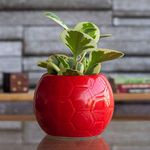 UGAOO Football Ceramic Pot (Red)