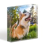 TULLUN Personalised Custom Made Pet Dog Cat Animal Memorial Acrylic Crystal Clear Block Plaque with Photo Text Name Date - Full Print 3D Effect