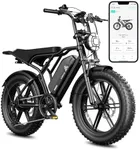 TST Electric Bike for Adults, 1500W