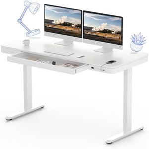 FLEXISPOT 