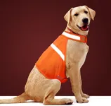 Dog Jacket High Visibility Safety R