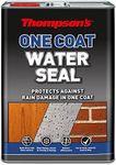 Thompson's One Coat Water-Seal 5Lt
