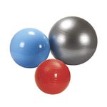 Vector X Gym Ball for Exercise Anti Burst Exercise Ball Workout Yoga Ball for Men Women (85cm)