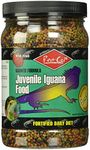 Rep-Cal Srp00802 Juvenile Iguana Food, 14.5-Ounce