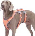 Huntboo Escape Proof Dog Harness, N