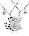 Yooborn Best Friend Necklace Set 2 Gifts,Cute Cartoon Funny Cat and rabbit Magnetic Matching Friendship Necklace for 2 Teen Girls Boys BFF Sister.