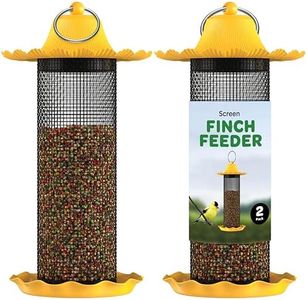 Finch Bird
