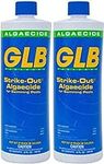 GLB 71114A-02 Strike Out Algaecide,