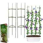 Rumsfel Garden Plant Support Cages, Tomato Growing Cage, Sturdy Garden Plant Support Stakes, Garden Trellis Vertical Climbing Plants Support Climbing