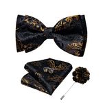 DiBanGu Black Gold Bow Ties for Men Silk Pretied Bow Tie Set with Lapel Pin Pocket Square Cufflinks Adjustable Jacquard Woven Bow Tie