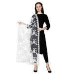 HARI MADHAV DESIGN Women's Nylon Net Embroidered Dupatta (White), 2.20 Mtrs