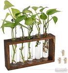 BUYGOO Plant Propagation Station Terrarium with Test Tube Desktop Hydroponics Rack, 5 Planter Glass Vase with Wooden Holder for Home Indoor Decoration