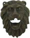 Cast Iron Wall Mounted Lion Head Th