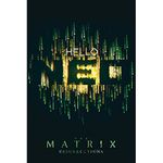 ABYSTYLE The Matrix Hello Neo 61 x 91.5cm Maxi Poster