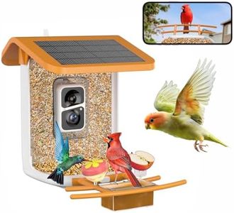 Bird Feede