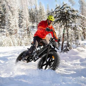 JANSNO Electric Bike 20x4.0 Fat Tire – Adult E-Bike