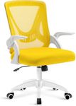 Blisswood Office Desk Chair, Ergono