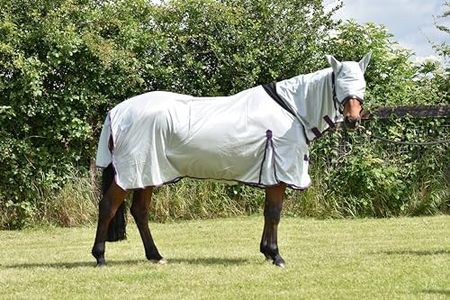 Fly Rug Ho
