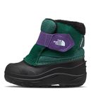 THE NORTH FACE unisex-child Alpenglow Ii (Toddler) Snow Boot, Evergreen/Peak Purple, 4 Toddler