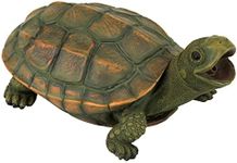 Design Toscano QM75110551 Sprinke The Turtle Piped Spitter Statue, Full Color