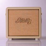 15 Watt Bass Amplifier Retro Bass- Compact and Powerful Amp for Professional Performances and Practice Sessions - White Creaman 15