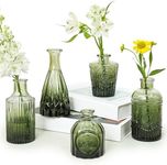 SUPMIND Glass Bud Vase Set of 5, Gr