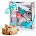 Cat Toy Gift Sets