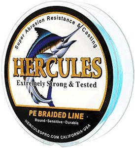 HERCULES Super Cast 300M 328 Yards Braided Fishing Line 30 LB Test for Saltwater Freshwater PE Braid Fish Lines Superline 8 Strands - Blue, 30LB (13.6KG), 0.28MM